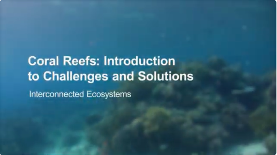 Video Intro Slide